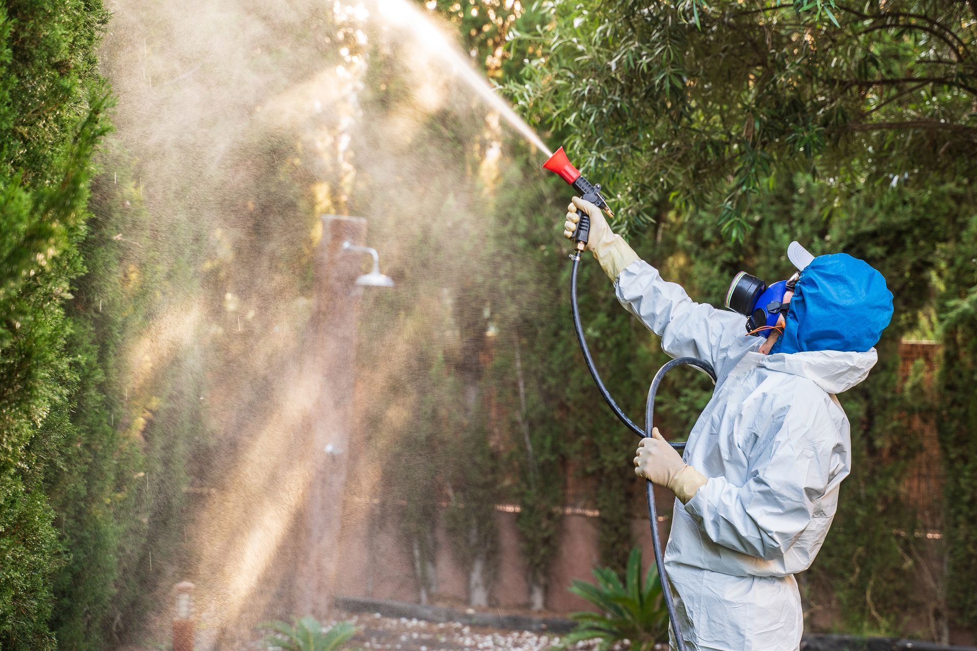 Spraying Pest Confrol in Backyard