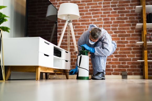 Spraying Pest Control in Living Room