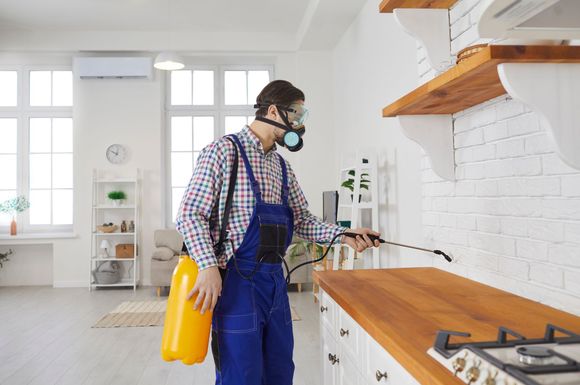 Spraying Insecticide in Kitchen