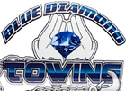 Logo for Blue Diamond Towing: hands cradling a blue diamond, with