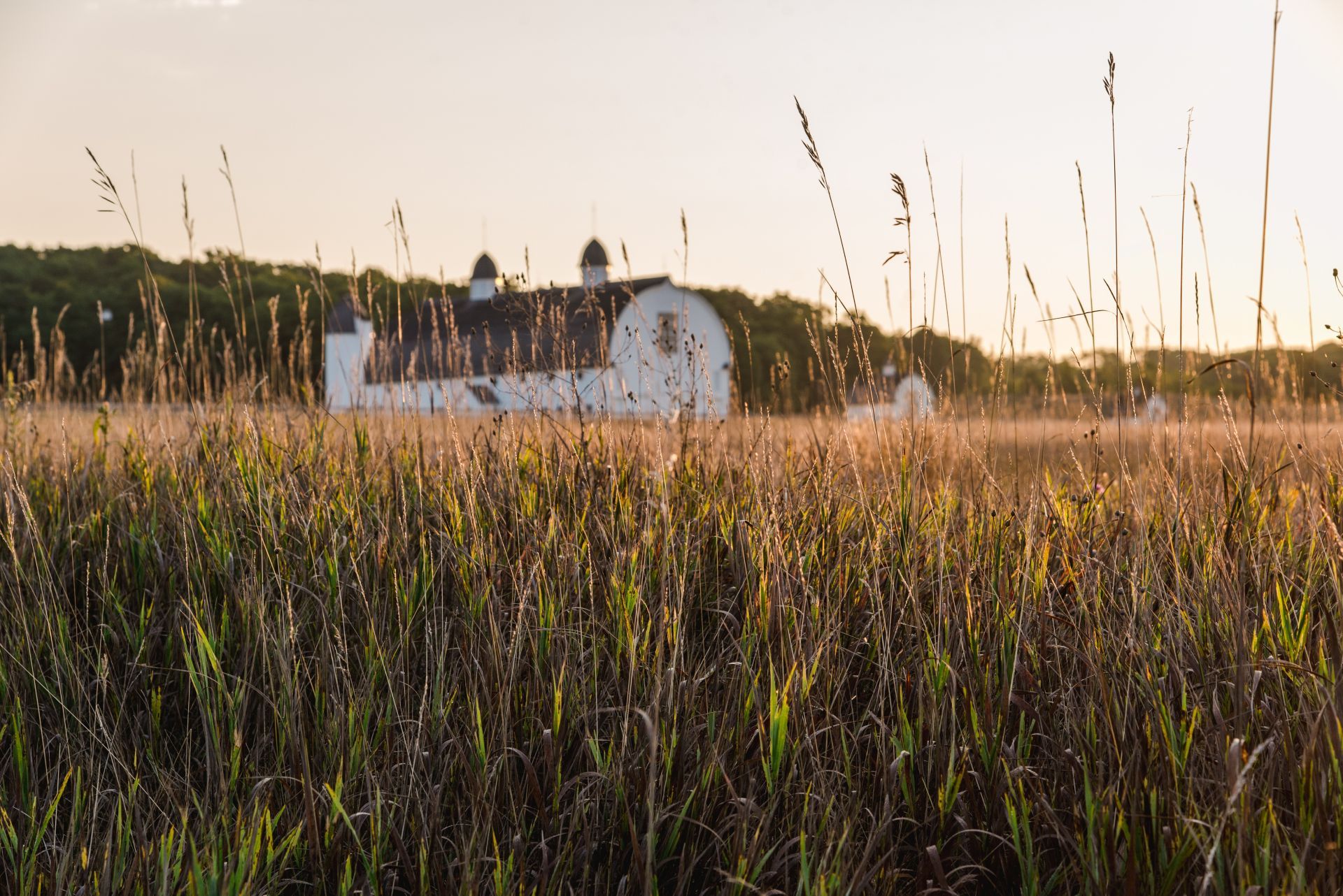 Turners Funeral Home | Luverne, AL
