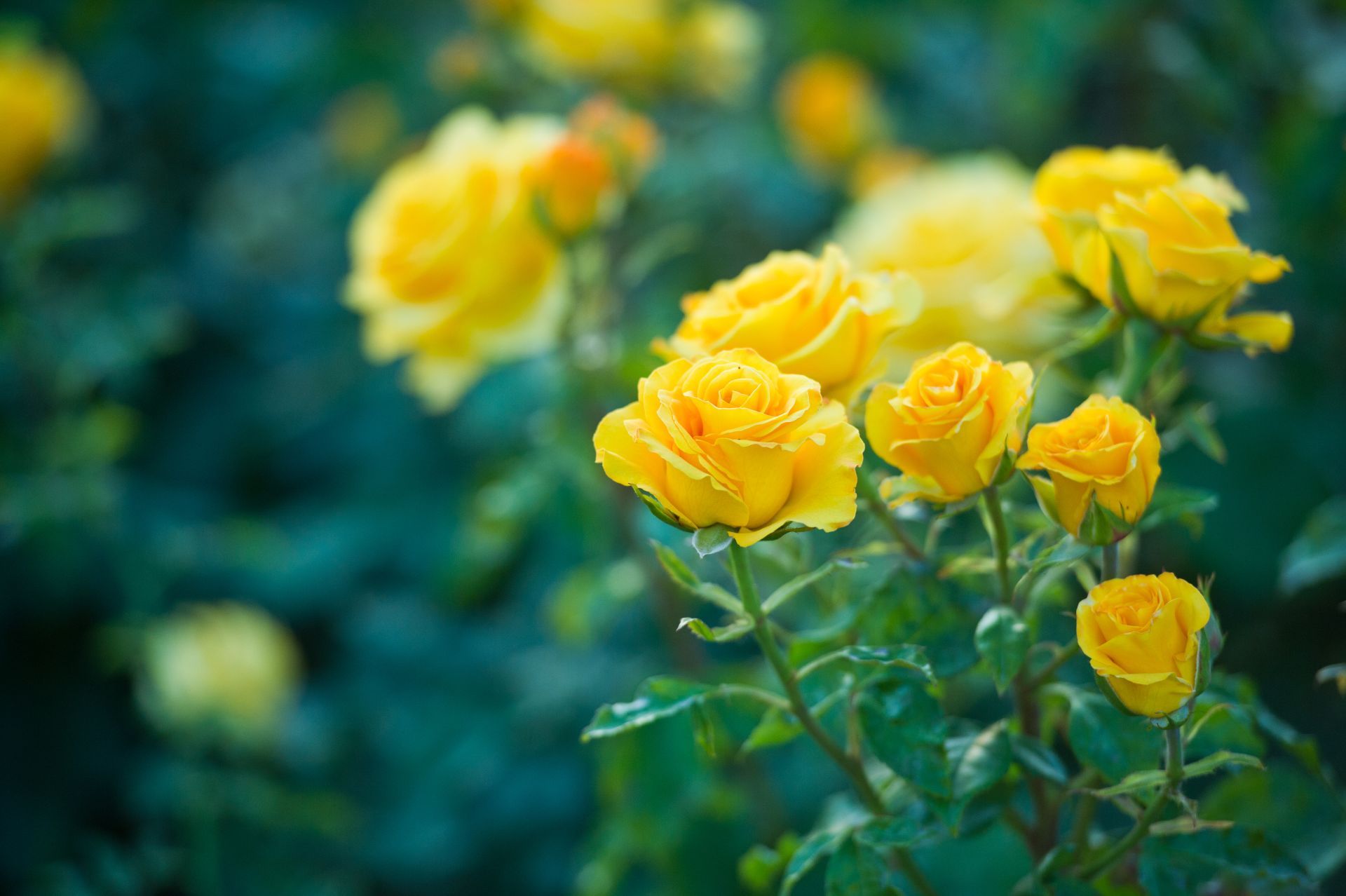 Turners Funeral Home | Luverne, AL