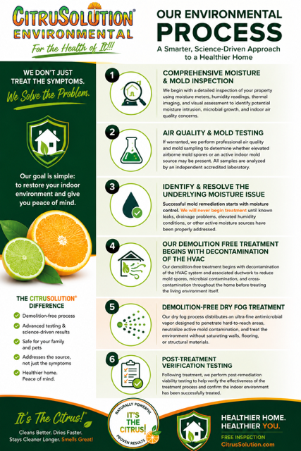 CitrusSolution infographic showing an environmental process with lime and orange graphics and step-by-step recycling icons