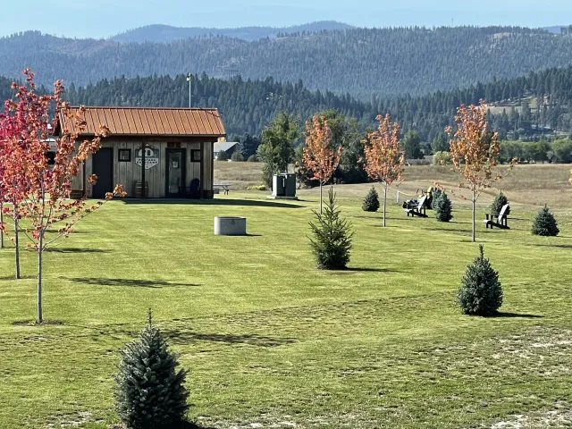 Sunlit rural lawn with small evergreen trees, a shed, and mountains in the background
