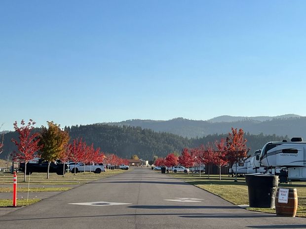 Tree-lined road with parked cars, red-orange autumn leaves, and mountains under a clear blue sky