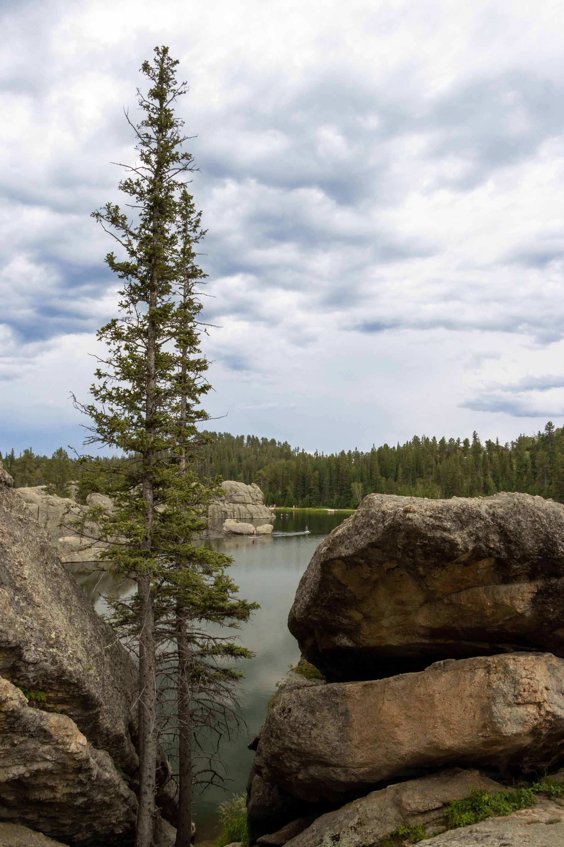 Tall pine between large rocks overlooking a river under a cloudy sky