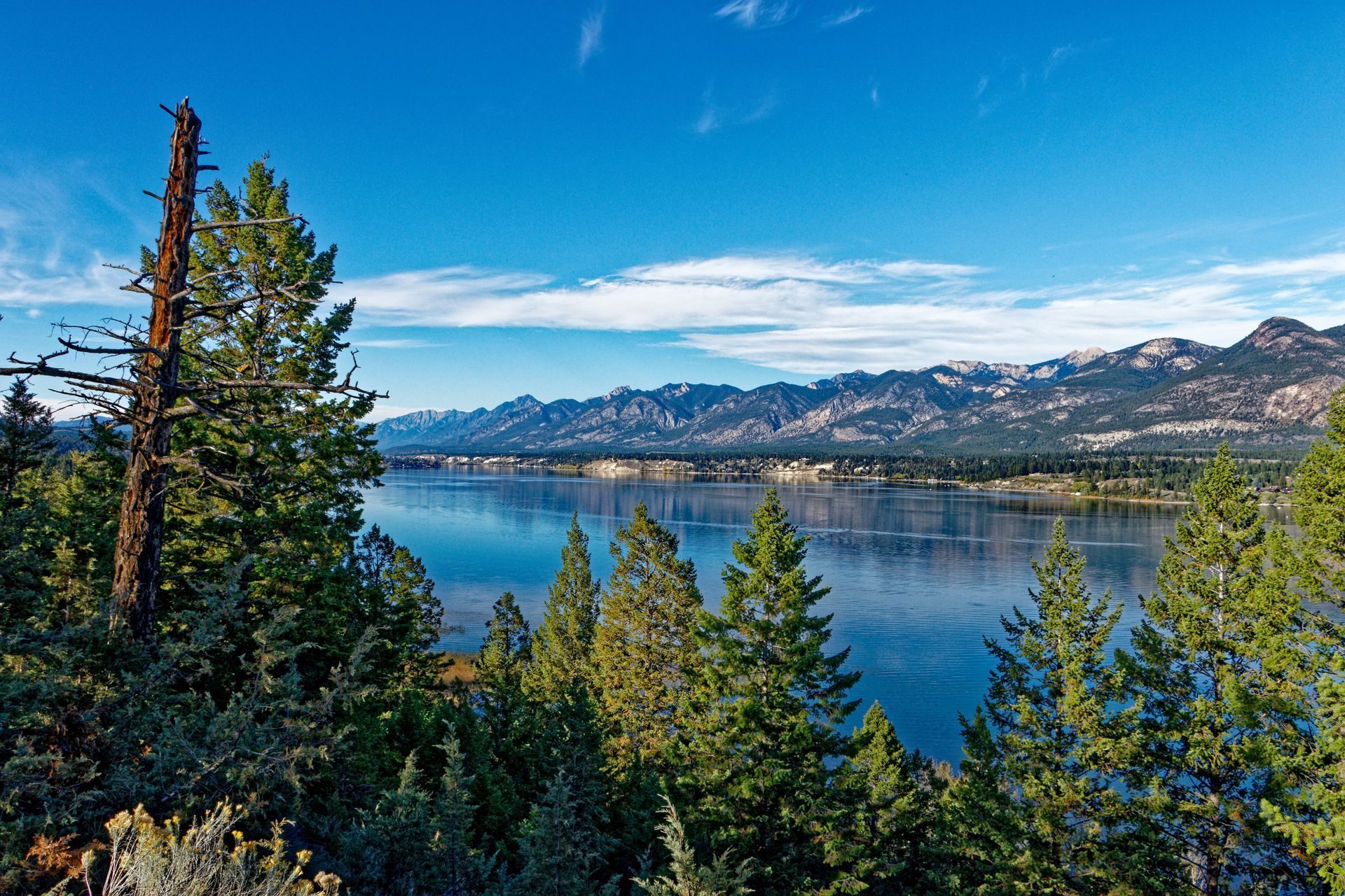 Lake with evergreen trees in the foreground and snow-capped mountains under a blue sky