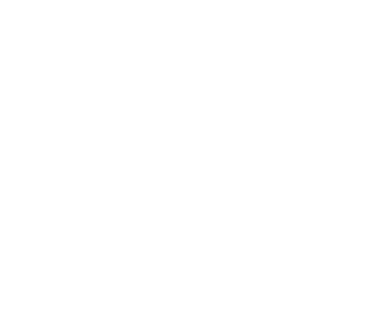 Action Window Tinting