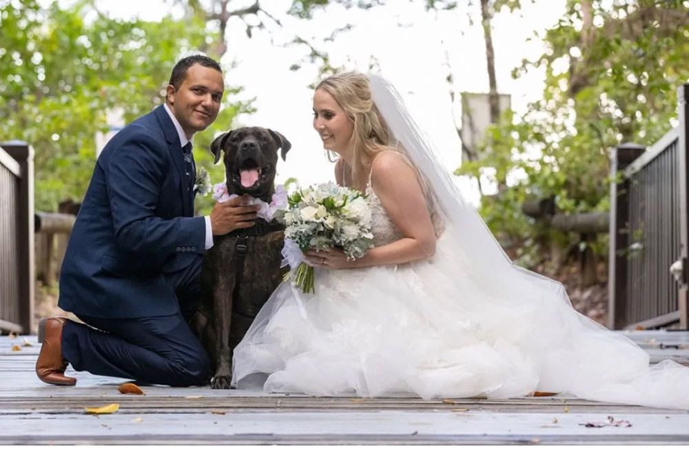 A Bride and Groom Are Posing for a Picture With Their Dog — GinaS Cairns Tropical Weddings in Parramatta Park, QLD