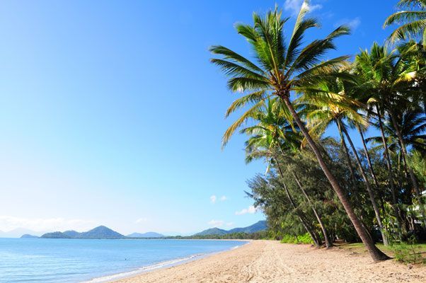 A Tropical Beach With Palm Trees and Mountains in the Background — GinaS Cairns Tropical Weddings in Palm Cove, QLD