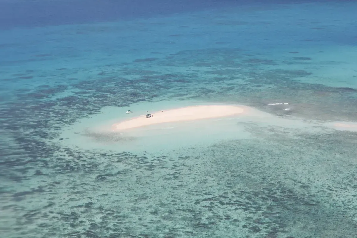 An Aerial View of a Small Island in the Middle of the Ocean โ GinaS Cairns Tropical Weddings in Parramatta Park, QLD