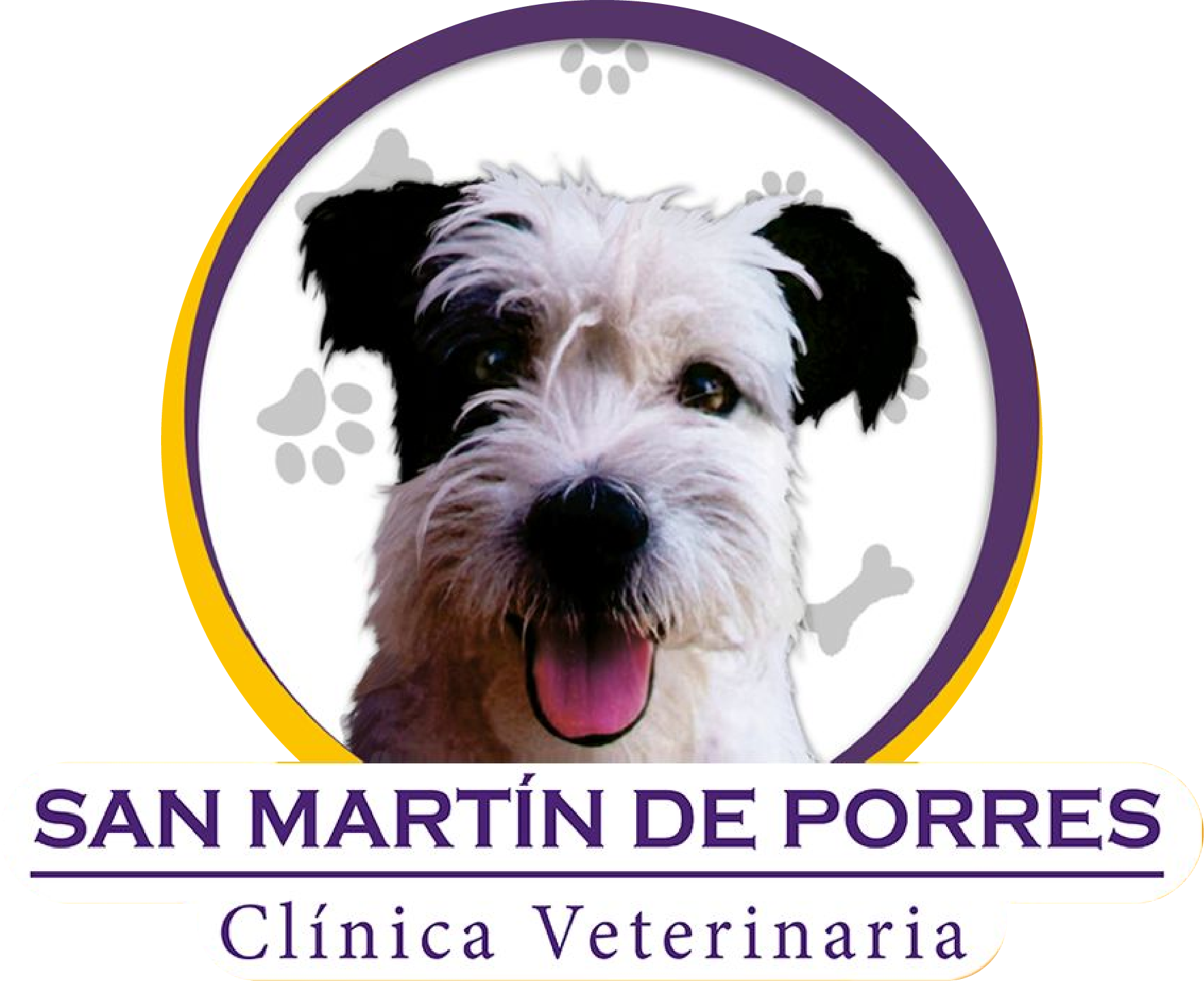Veterinaria San Martin de Porres
