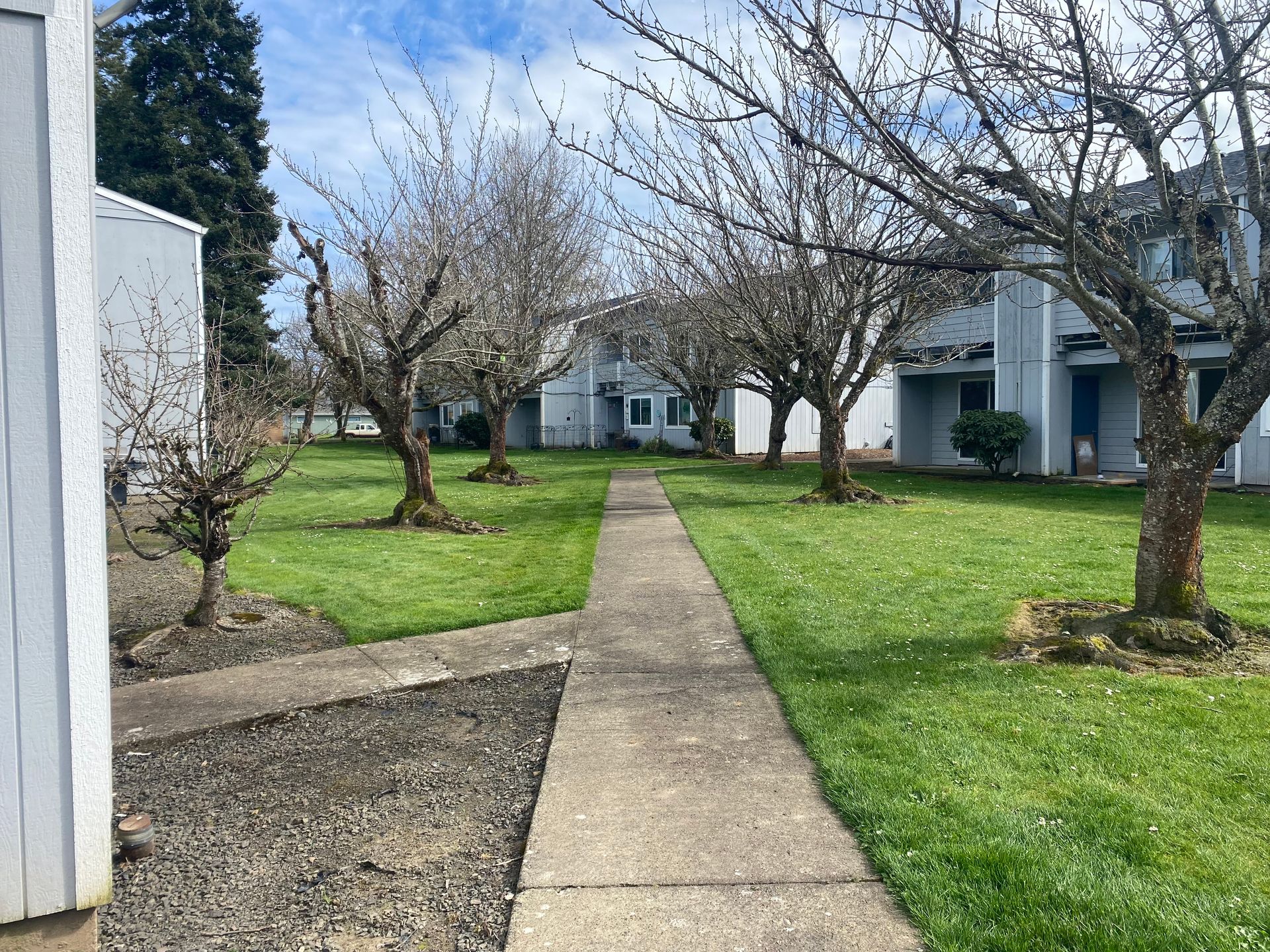 A concrete path leads through a grassy courtyard between light-colored apartment buildings with bare trees.
