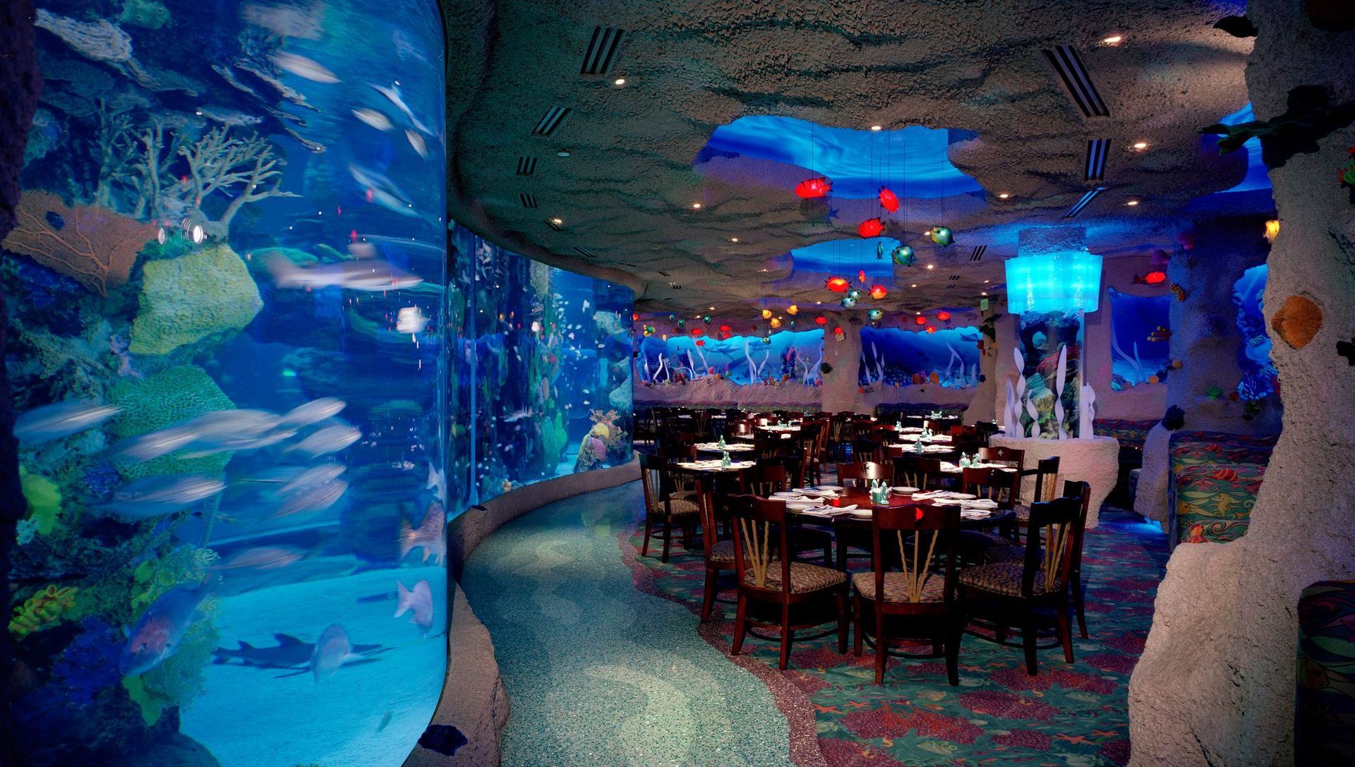 Restaurant tables with aquarium tank in background