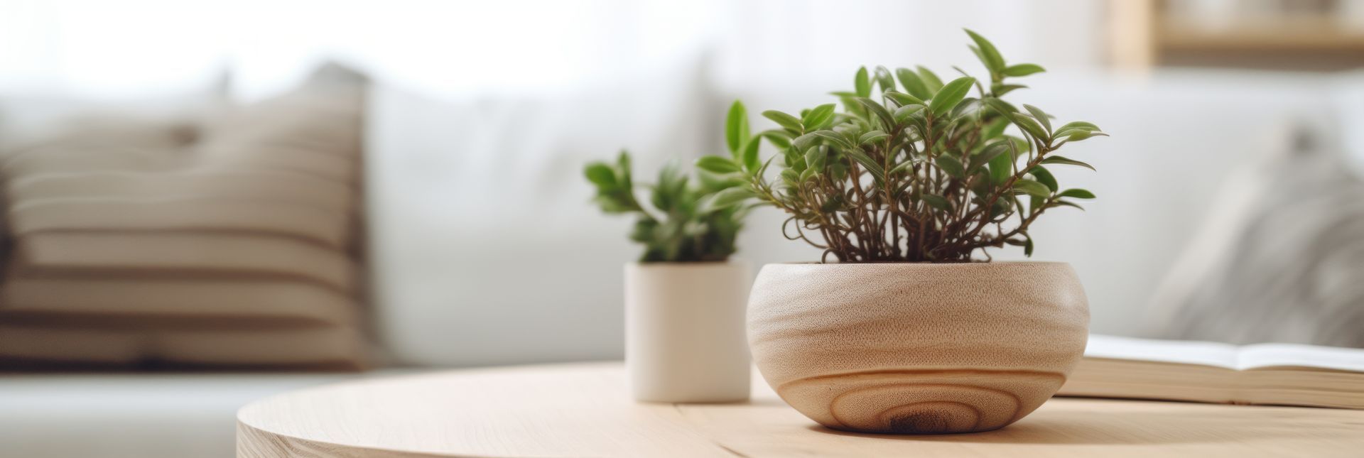 Two potted plants sit on a wooden table, in front of a neutral-toned couch.
