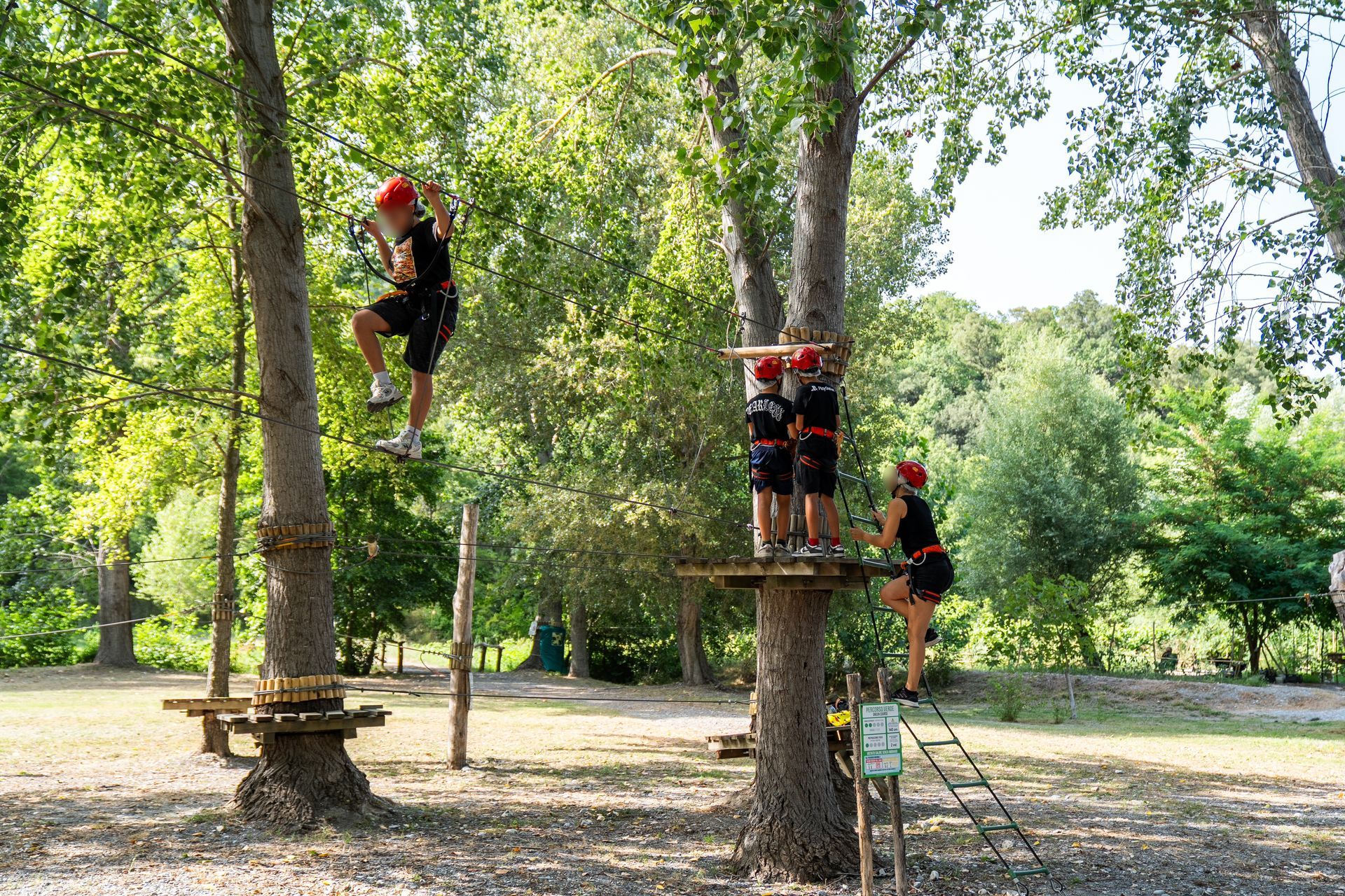 Persone imbracate si arrampicano su corde tra gli alberi in un parco boschivo all'aperto.