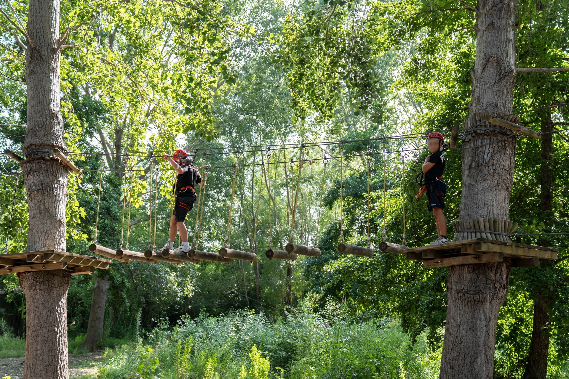 Due persone con il casco attraversano un ponte di corda in un percorso a ostacoli all'interno di una lussureggiante foresta.
