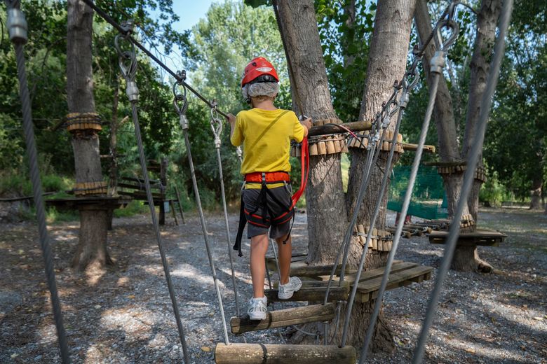 Studenti in una giornata nel bosco