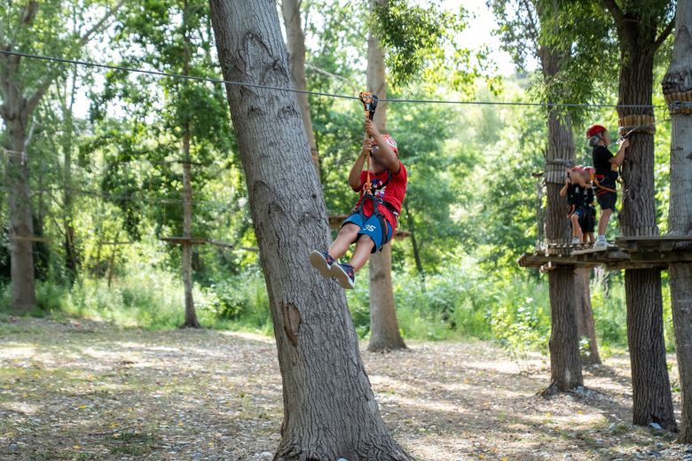Studenti in una giornata nel bosco