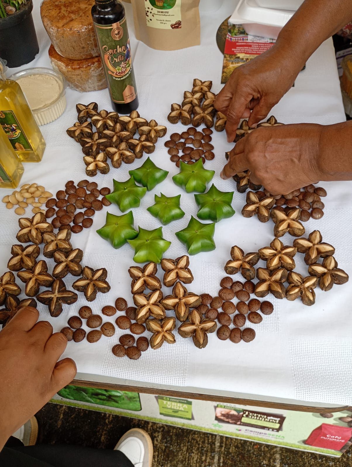 Manos colocando exhibiciones de carambola y semillas o nueces marrones sobre un mantel blanco en un puesto de mercado.