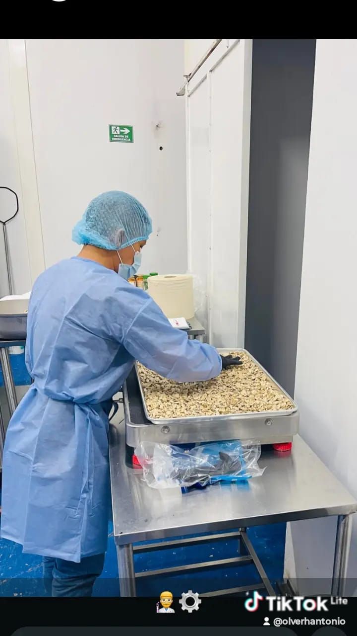 Trabajador con guantes, bata y gorro azules manipulando bandejas de comida en una sala de procesamiento limpia.