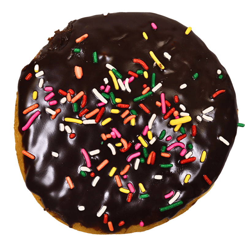 BOSTON CREAM with sprinkles