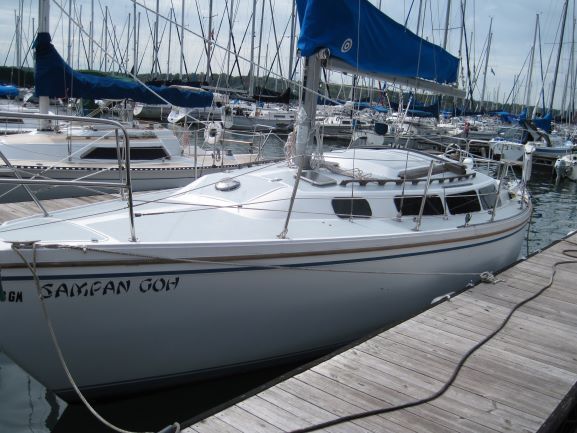 White sailboat docked in a marina, blue sail, sunny day.