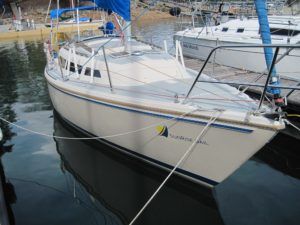 Sailboat docked at a marina with a tan hull, blue accents, and a blue sail visible.