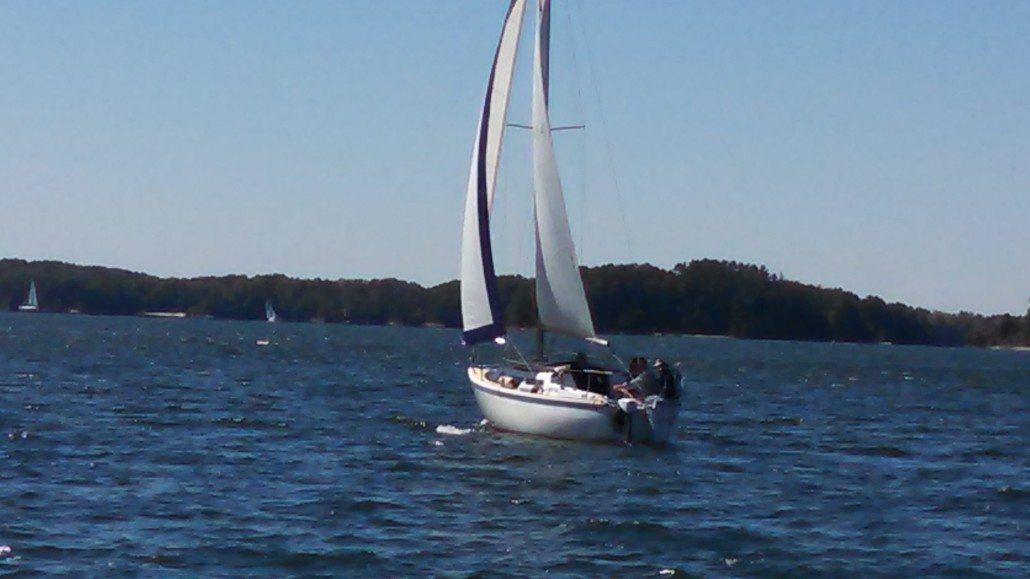 Sailboat with white sails sailing on blue water, trees in the background under a blue sky.