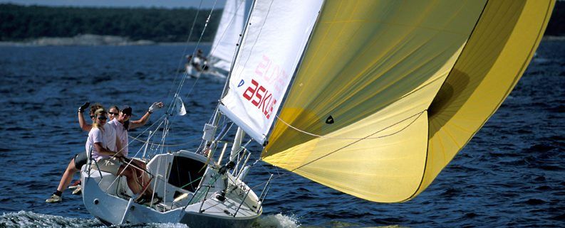 Sailboat racing on water, crew members onboard. Yellow and white sails in motion, blue water, trees on the horizon.