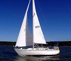 sailing fleet