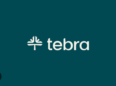 Tebra logo in white on a dark teal background