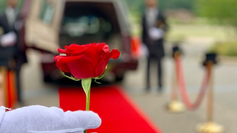 Hand holding a red rose in front of a red carpet with blurred people in the background