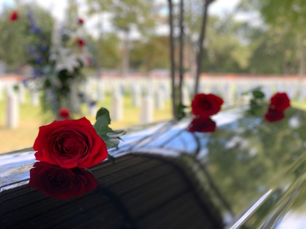 Red roses resting on a shiny car hood outdoors, with more roses in the background.