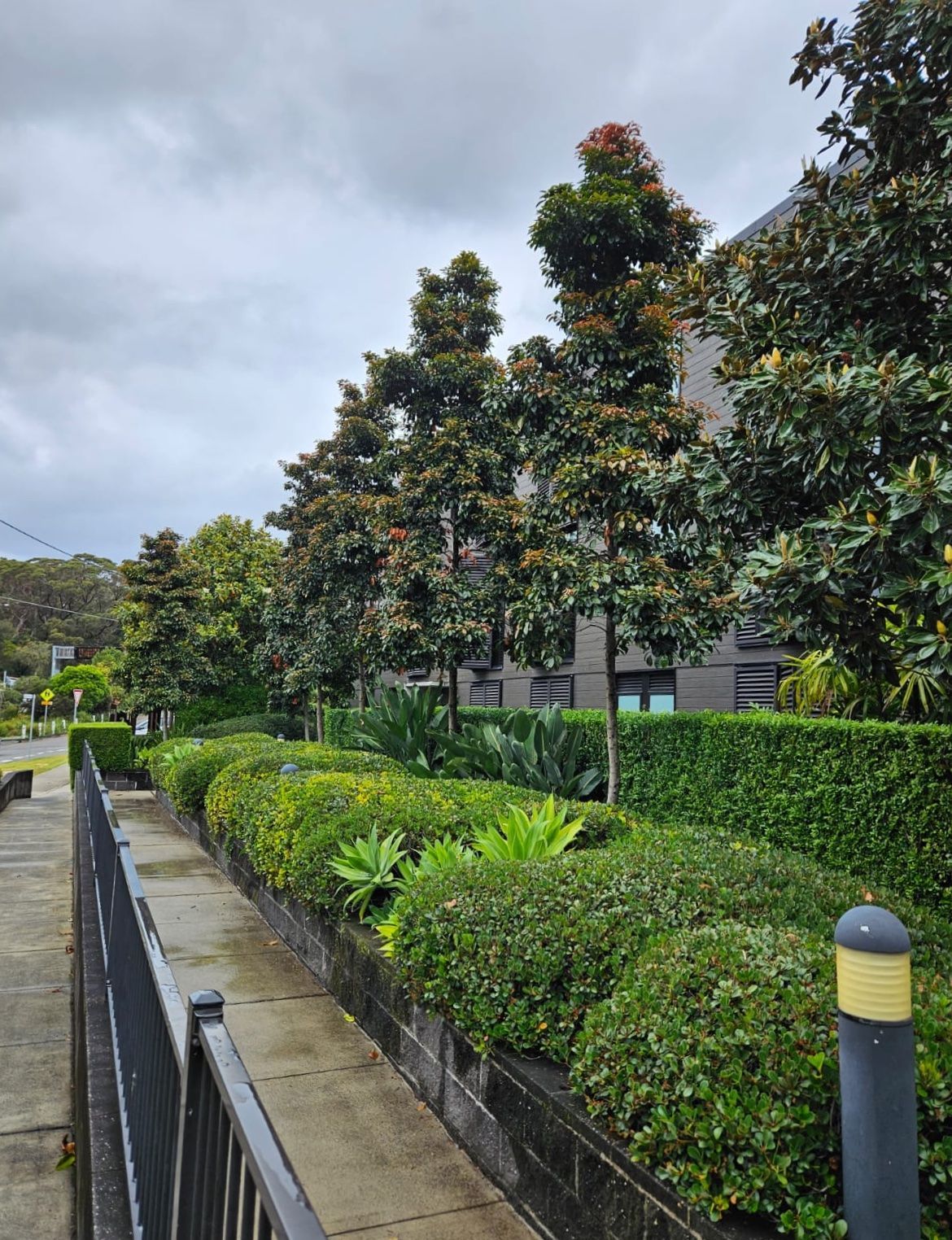 Green hedges and trees line a sidewalk with a grey sky in the background.— Accurate Fitout Solutions In Wetherill Park, NSW