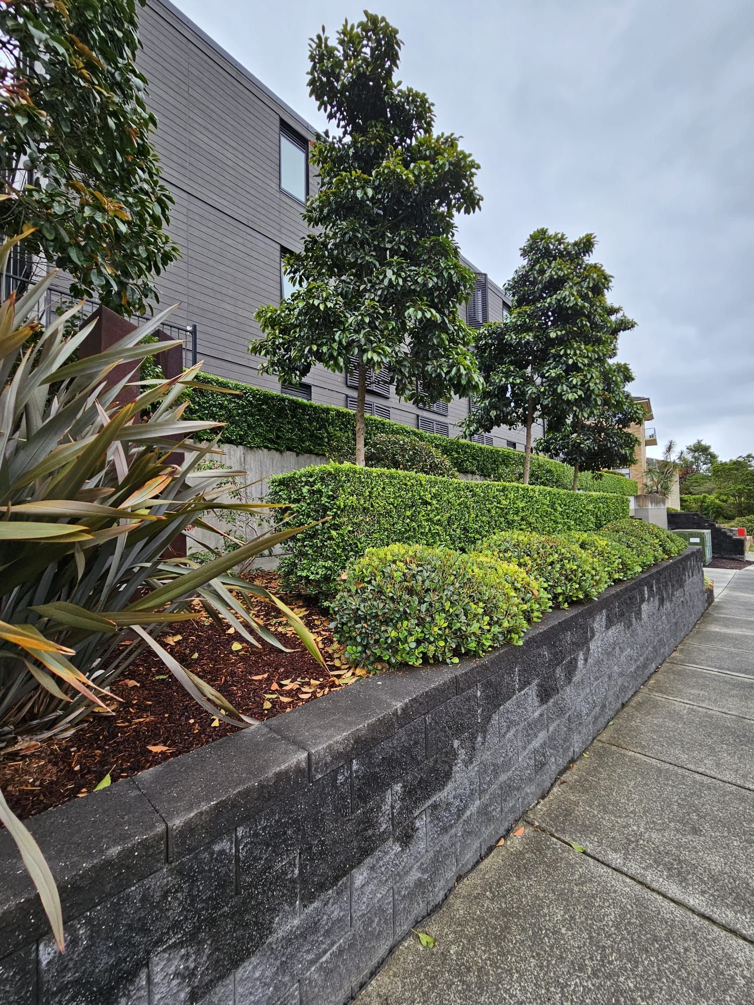 A Concrete Road is Being Built on a Dirt Road — Accurate Fitout Solutions In Wetherill Park, NSW