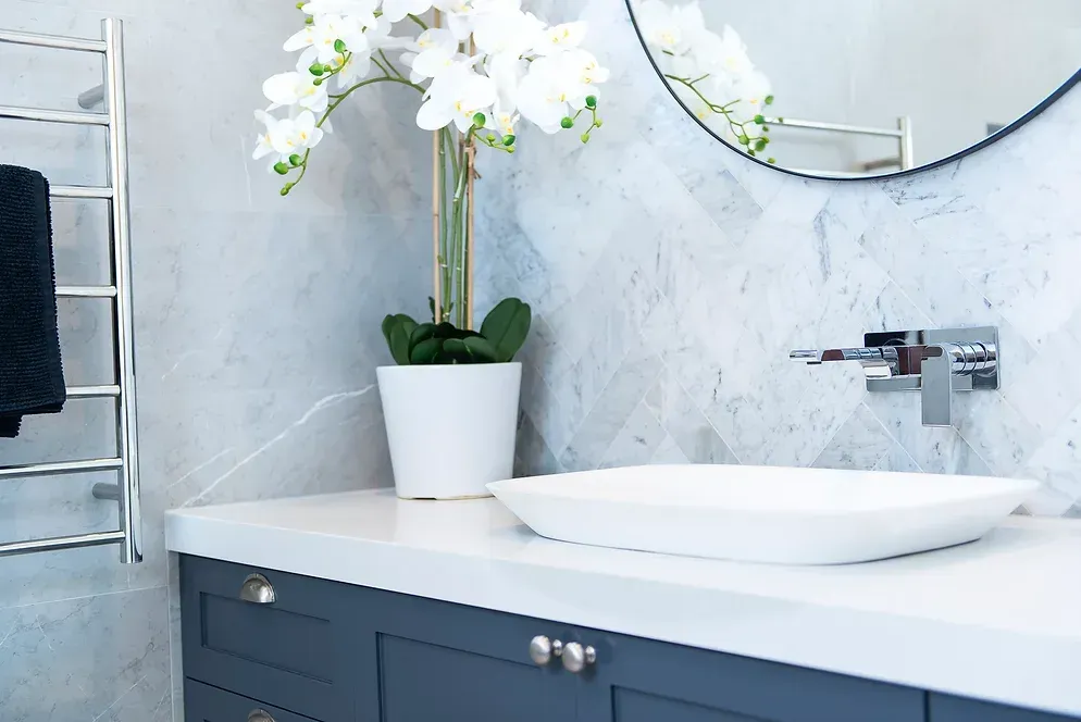 A bathroom with a sink and a potted plant on the counter.