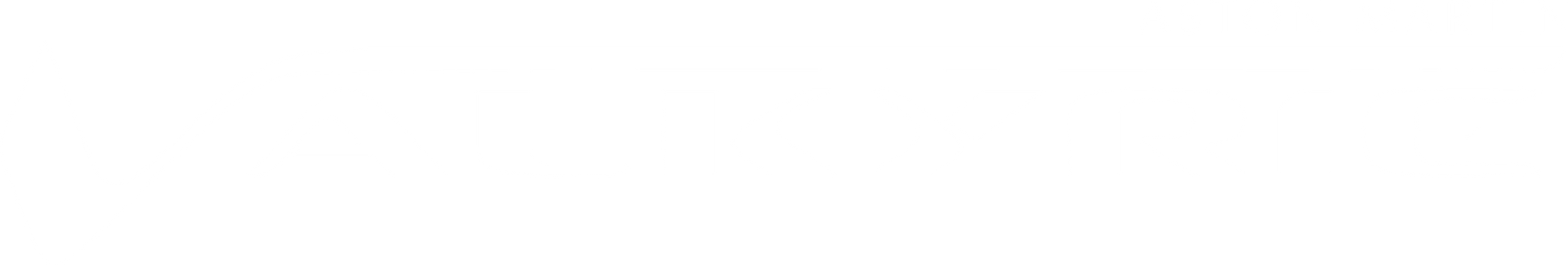 Aston Martin Valkyrie white logo png