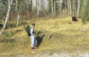 a man with a backpack is standing in the woods looking at a bear .