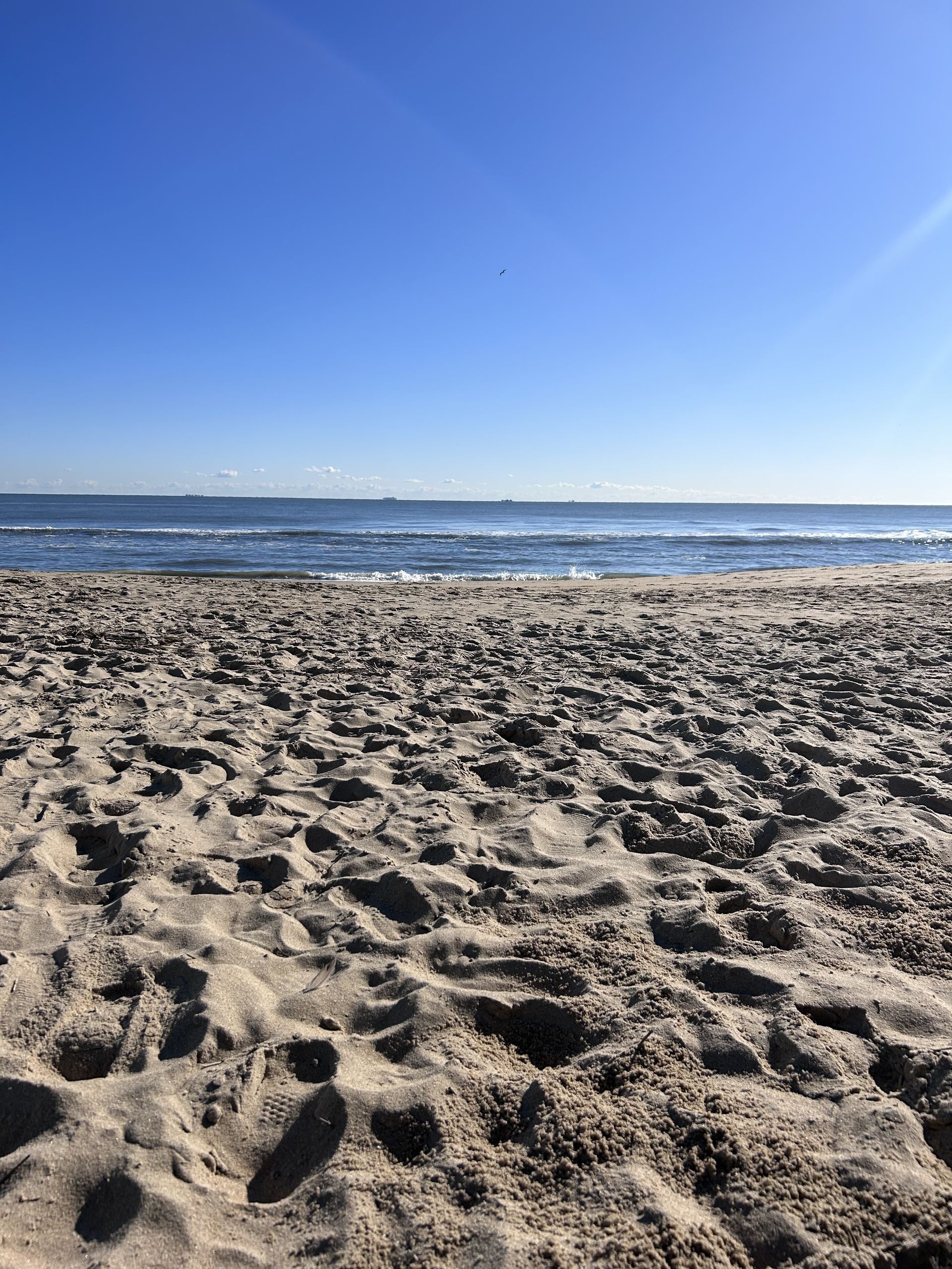 Footprints in the sand on a sunny beach, looking out over the ocean under a clear blue sky.