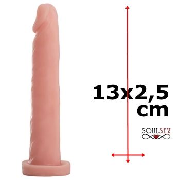 penis de borracha protese falo penetrador dildo clone consolo sex shop exotic house em fortaleza
