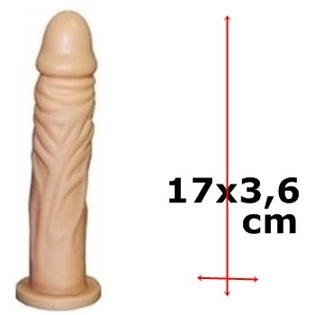 penis protese dilfo falo penetrador clone borraca penis sex shop exotic house em fortaleza