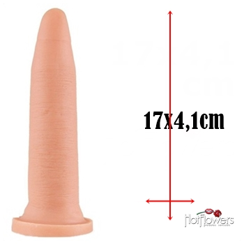 protese de penis de borracha dildo falo penetrador clone consolo sex shop exotic house em fortaleza