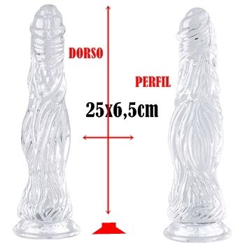 penis protese dildo penetrador plug anal transparene sex shop exotic house em fortaleza
