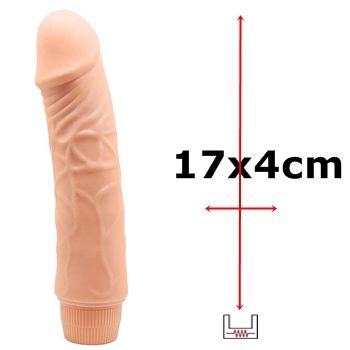 penis vibrador barbara baile sex shop exotic house em fortaleza