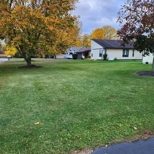 Suburban front yard with green lawn, autumn trees, and white houses under a cloudy sky