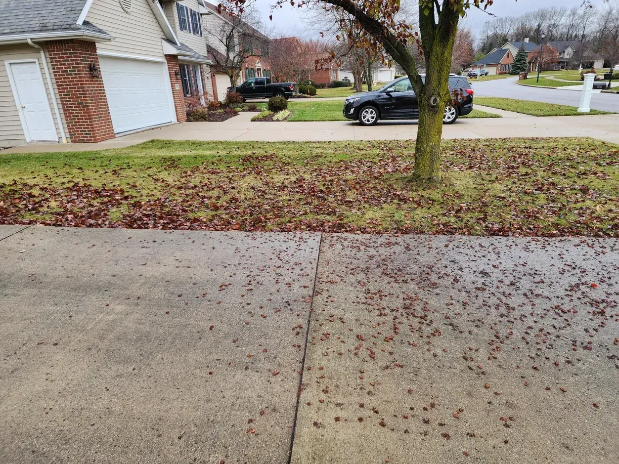 Wet driveway beside a leaf-covered lawn, with a tree and parked cars in a suburban neighborhood.