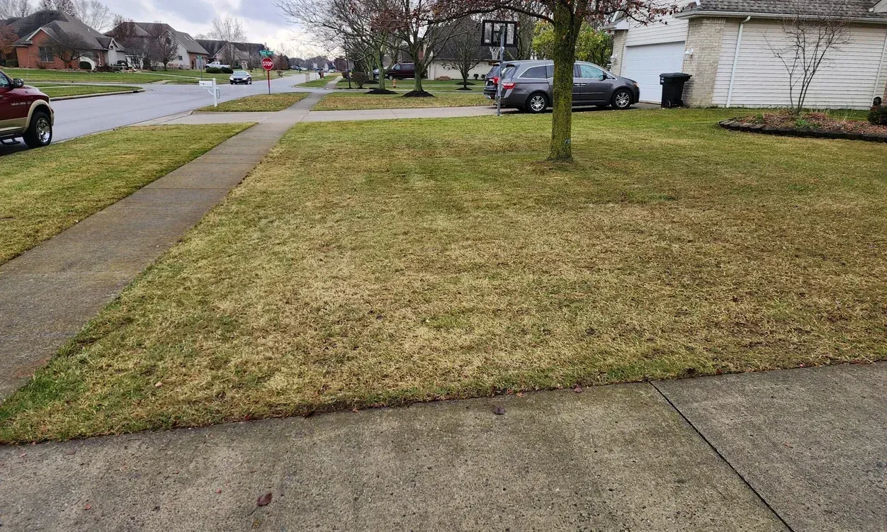 Wet suburban street with a front lawn, sidewalk, driveway, and houses in the background