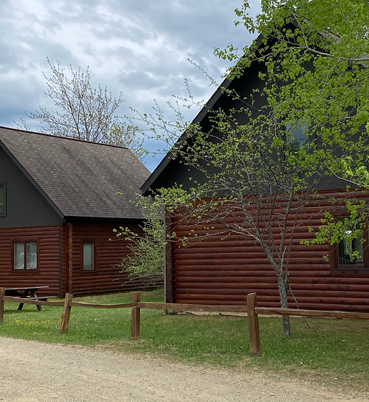 Wooden cabins with dark roofs beside a dirt path and trees under a cloudy sky