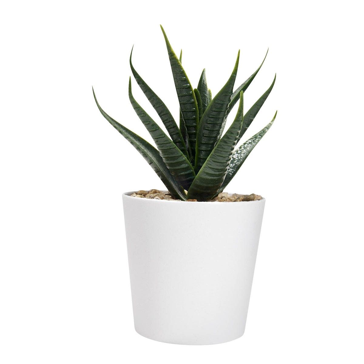 Set de plantas Aliso personalizable en color blanco, vista principal